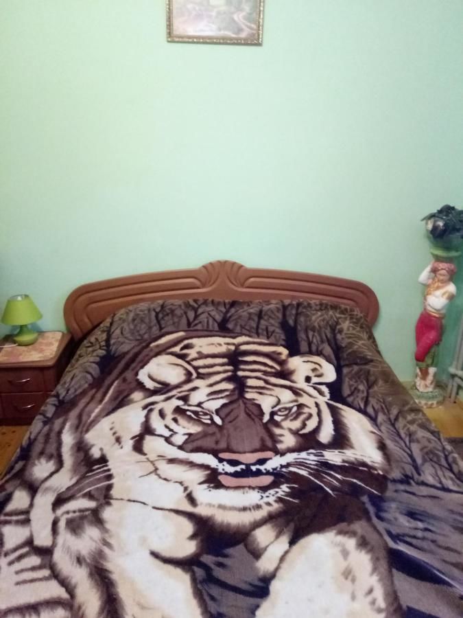 Загородные дома Cottage u Romana Яремче-13