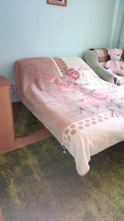 Загородные дома Cottage u Romana Яремче-17
