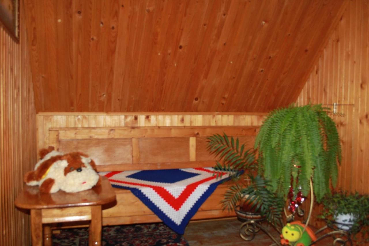 Загородные дома Cottage u Romana Яремче-26