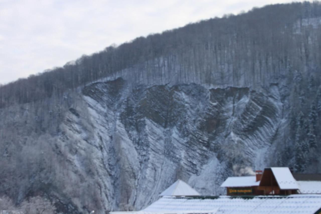 Загородные дома Cottage u Romana Яремче-34