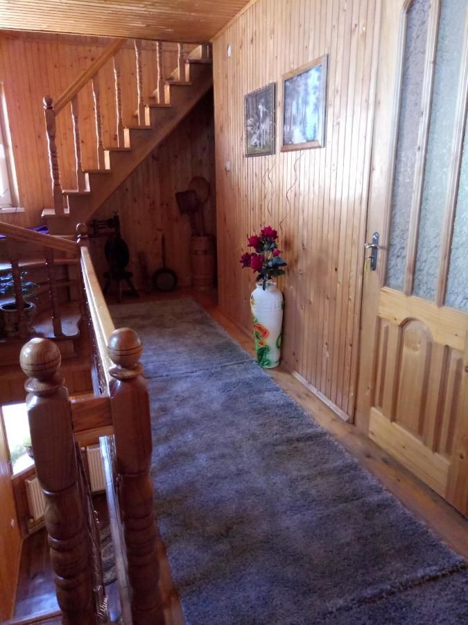Загородные дома Cottage u Romana Яремче-11